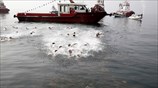 Εορτασμός των Θεοφανείων στην Θεσσαλονίκη