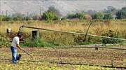 Ρύθμιση για ληξιπρόθεσμα μη εξυπηρετούμενα δάνεια αγροτών προτείνει το ΠΑΣΟΚ