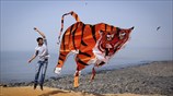 Το «πέταγμα» της τίγρης 