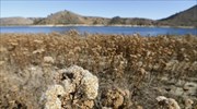 Καλιφόρνια: Σε κατάσταση συναγερμού λόγω ξηρασίας