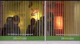 Βρετανία: Aιφνιδιαστική πτώση της ανεργίας