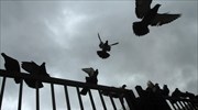 Σταδιακή βελτίωση του καιρού