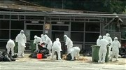 Κίνα: Σε επαγρύπνηση οι αρχές για τον ιό Η7Ν9