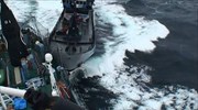 Επίθεση από φαλαινοθήρες καταγγέλλει ο Ποιμένας της Θάλασσας