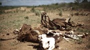 Βραζιλία: Περιορισμοί στην υδροδότηση λόγω ασυνήθιστης ξηρασίας