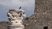 Ιταλία: Έκκληση Ρέντσι για την Πομπηία