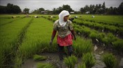 Γυναίκες στην επαρχία της Ινδονησίας