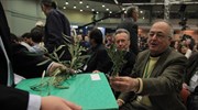 Σε εξέλιξη η συνδιάσκεψη της «Ελιάς»
