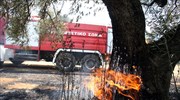 Υπό έλεγχο οι φωτιές στους νομούς Κοζάνης και Πέλλας
