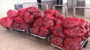 Αλεξανδρούπολη: Κατασχέθηκαν πέντε τόνοι ακατάλληλα όστρακα