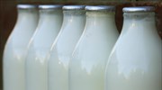 «Πλήγμα στην ελληνική αγελαδοτροφία η επιμήκυνση ζωής του γάλακτος»
