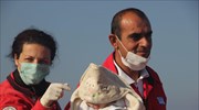 Στην Αγιά Χανίων οι 345 μετανάστες που διεσώθηκαν χθες στην Κρήτη