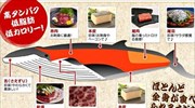 Ιαπωνία: Η Rakuten απέσυρε το κρέας φάλαινας από το ηλεκτρονικό της κατάστημα
