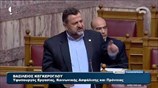 Β. Κεγκέρογλου για Χρυσή Αυγή: Είναι εγκληματική οργάνωση και ταυτόχρονα και μπίζνα