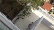 Βουτιά στο κενό από εργαζόμενη του δήμου Περιστερίου