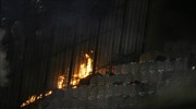 ΕΛΑΣ: Στη δημοσιότητα φωτογραφίες ταραξιών από τον αγώνα ΠΑΟ - ΠΑΟΚ