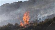 Πυρκαγιά σε δασική έκταση στο Αλεποχώρι