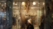 Μειώθηκε κατά 3,4% ο τζίρος στο λιανεμπόριο
