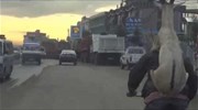 Δικάβαλο με... κατσίκα