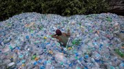 Ινδία: «Θάλασσα» από άδεια πλαστικά μπουκάλια