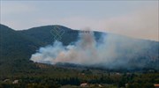 Σε ύφεση η πυρκαγιά στη Μυτιλήνη