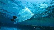 Γεμάτοι με πλαστικά που δεν φαίνονται οι ωκεανοί του πλανήτη