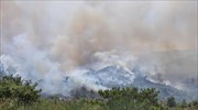 Ζάκυνθος: Πυρκαγιά στην περιοχή Σκοπός