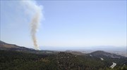 Υπό μερικό έλεγχο η φωτιά στο δάσος του Καρέα