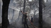 Πολύ υψηλός σήμερα ο κίνδυνος πυρκαγιάς