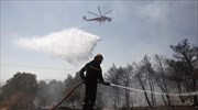 Σε εξέλιξη πυρκαγιές σε ανατολική Μάνη - Βοιωτία