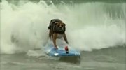 Διαγωνισμός surfing για… σκύλους