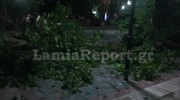 Φθιώτιδα: Πλάτανος καταπλάκωσε 9χρονο αγόρι