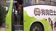 Λεωφορείο για κατοικίδια στο Χονγκ Κονγκ