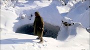 Νέοι μυστηριώδεις κρατήρες στη Σιβηρία