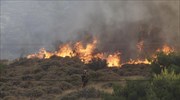 Δασική πυρκαγιά στη Βλαχοκερασιά Τρίπολης