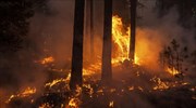 Οι πυρκαγιές και η καύση βιομάζας αποτελούν ακόμα μεγαλύτερο κίνδυνο για το περιβάλλον από ότι πιστεύουμε