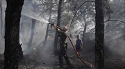 Υπό έλεγχο η πυρκαγιά στη Ρόδο