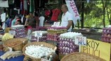 Οι προκλήσεις και οι προοπτικές της τουρκικής οικονομίας