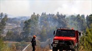 Πυρκαγιά στην περιοχή Αθίκια Κορινθίας