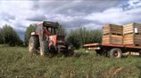 ΑΠΕ-ΜΠΕ: Μέτρα για τις μικρότερες δυνατές επιπτώσεις από το ρωσικό εμπάργκο