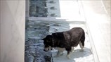 Υψηλές θερμοκρασίες στην Αθήνα