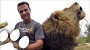 Λιοντάρι διακόπτει τον εκπαιδευτή του που μιλάει στην κάμερα