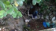 Μεσσηνία: Εντοπίστηκαν δύο πτώματα σε δύσβατη περιοχή
