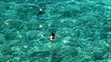 Καλοκαιρινή απόδραση σε παραλία του Ναυπλίου