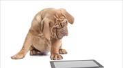 Κουτάβι κυνηγάει ψάρια στο… iPad