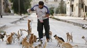 Συρία: Φιλόζωος άνδρας ταΐζει καθημερινά 150 γάτες
