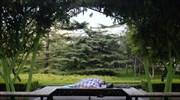 Καθημερινή ζωή στην Κίνα