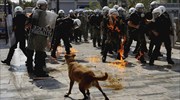 Reuters: Πέθανε ο «σκύλος - διαδηλωτής» της Αθήνας Λουκάνικος