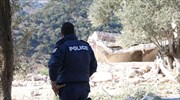 Ηράκλειο: Ισχυρή έκρηξη κατέστρεψε ολοσχερώς ένα σπίτι