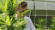Ιταλία: Εγκρίθηκε η καλλιέργεια μαριχουάνας - Μόνο για ιατρικούς σκοπούς η χρήση